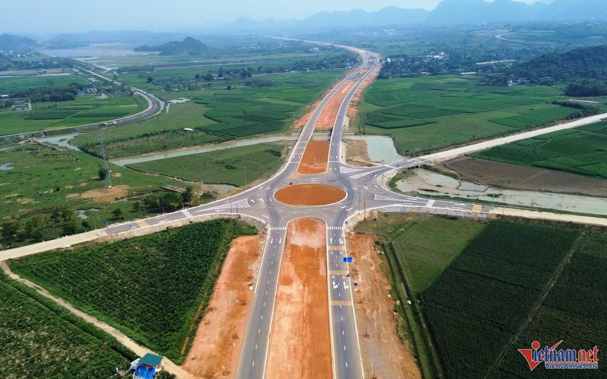 hoa-lu-6.jpg