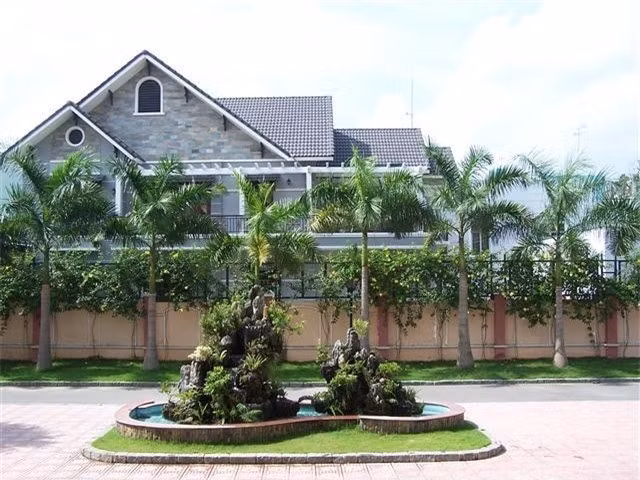 Thân cau thẳng đứng, tán lá gọn gàng giúp không gian trước nhà luôn thông thoáng, không bị che khuất tầm nhìn. Điều này thúc đẩy khí lưu thông tốt hơn, mang lại nguồn năng lượng tích cực cho ngôi nhà.