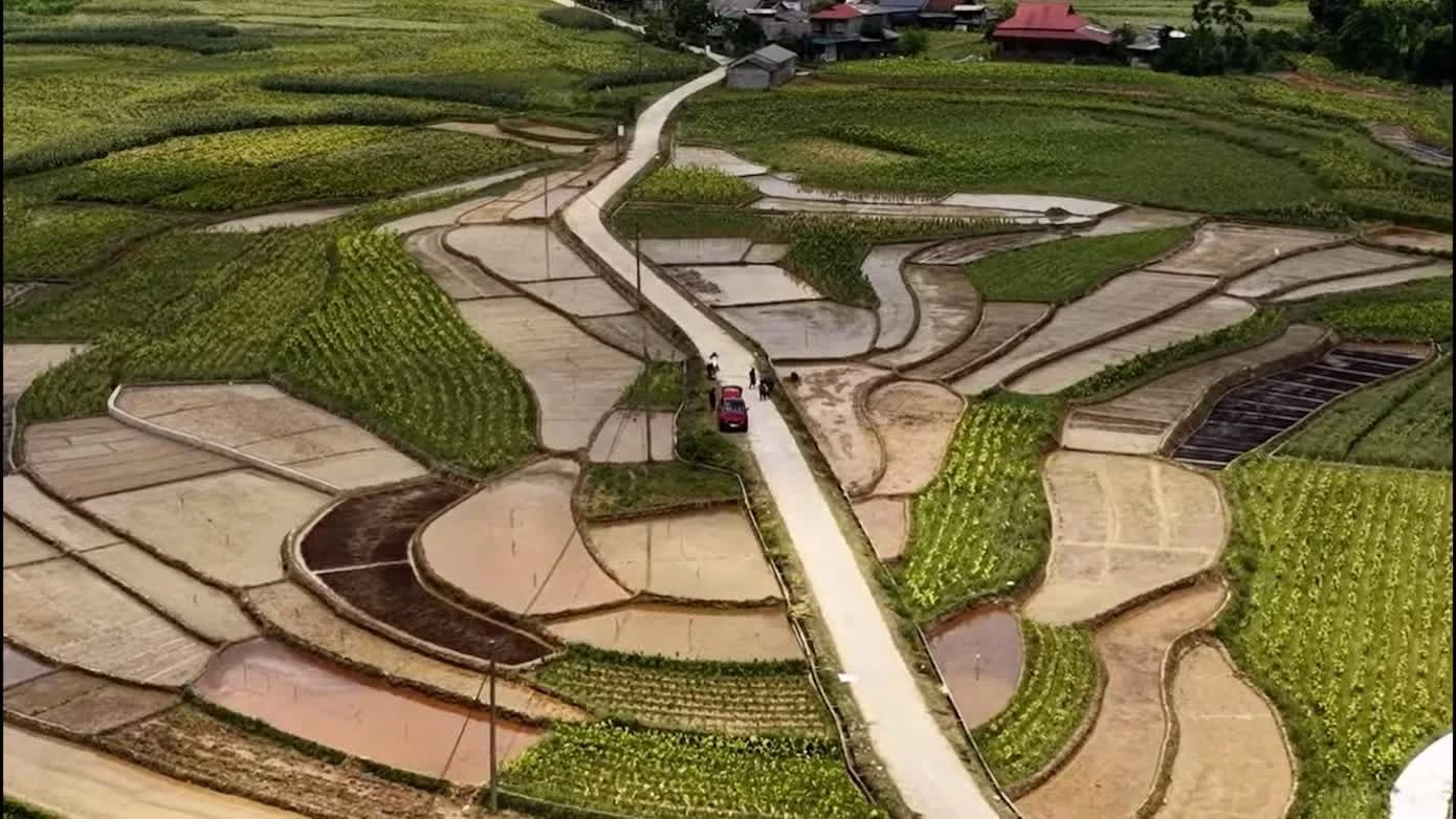Cận cảnh 'hố tử thần' suýt 'nuốt chửng' người lái máy cày ở Cao Bằng