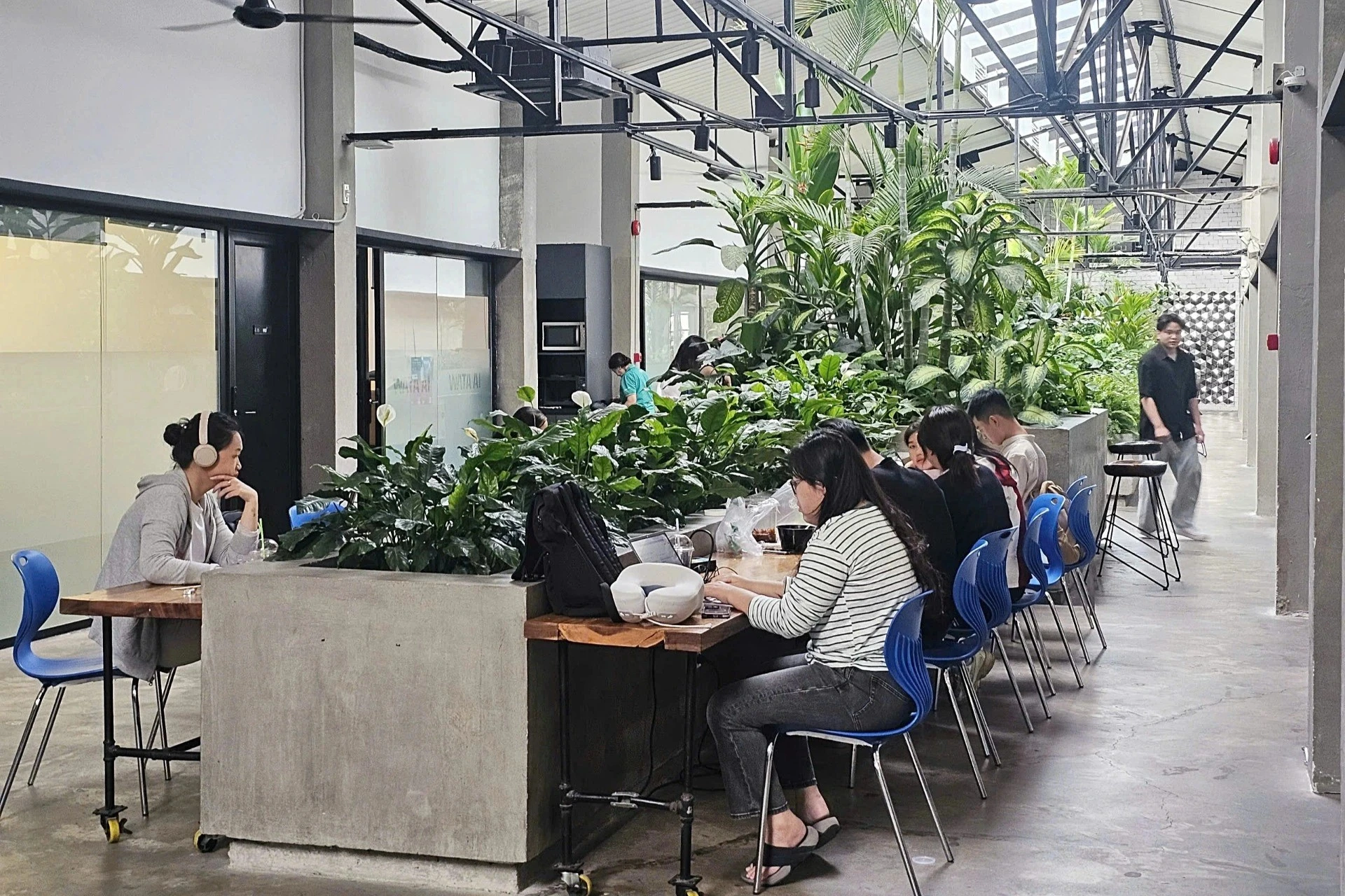 [VIDEO] Coworking ở TPHCM hút khách, giá từ 25.000 đồng
