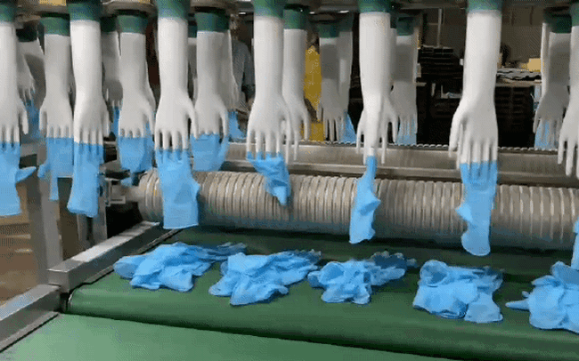 Hôm 3/10, Công ty cổ phần Glove Đại Nam đã tiến hành đã trao tặng 20.000 hộp găng tay đợt 1 cho các bệnh viện dã chiến, chốt kiểm soát... nhằm chung tay kiểm soát dịch bệnh. Đây cũng chính là lô găng tay thành phẩm đầu tiên của Công ty.