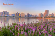 [GALLERY] Tránh đông ở hồ Gươm, bạn trẻ săn thảm hoa violet ở địa điểm mới