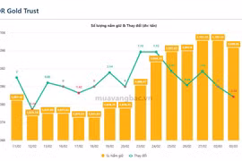 [VIDEO] Quỹ SPDR Gold Trust bán ròng, vàng giảm 20% trong năm nay