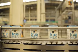 [VIDEO] TH Group dự kiến bán 30% cổ phần, định giá vượt Vinamilk