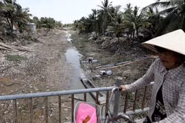 [SPOTLIGHT] El Nino mạnh nhanh, Việt Nam đối mặt nắng nóng kỷ lục