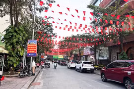 [VIDEO] Chính phủ hướng dẫn sắp xếp thôn tổ dân phố khi lập phường