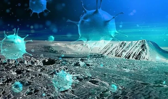 Băng vĩnh cửu tan, sinh vật 40.000 năm hồi sinh có đáng sợ?