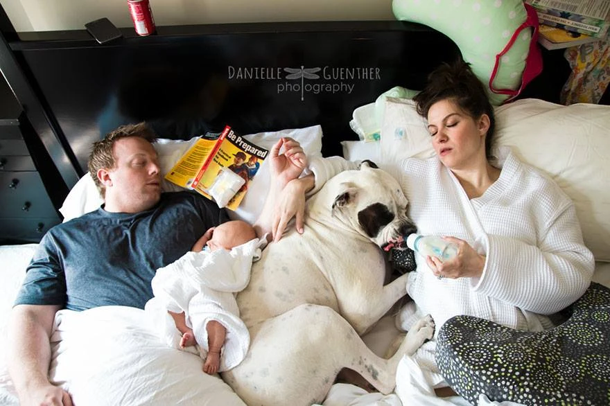 Khoảnh khắc siêu hài hước khi em bé chào đời