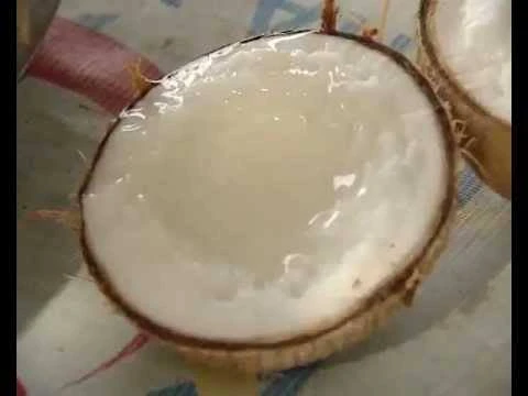 Món ngon khó cưỡng dừa sáp và mầm dừa Nam bộ