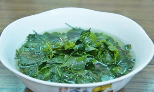 Rau dại: Món ngon, vị thuốc quý giá từ thiên nhiên