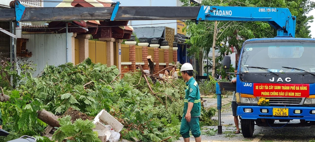 Đà Nẵng cấp tập dọn dẹp sau bão Noru
