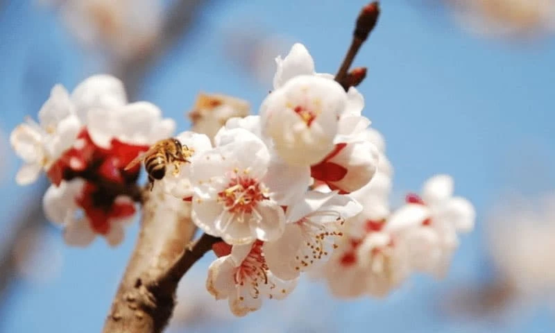 Bồ Tát phù hộ, 3 con giáp của cải tăng, làm ăn phát tài 3 năm tới