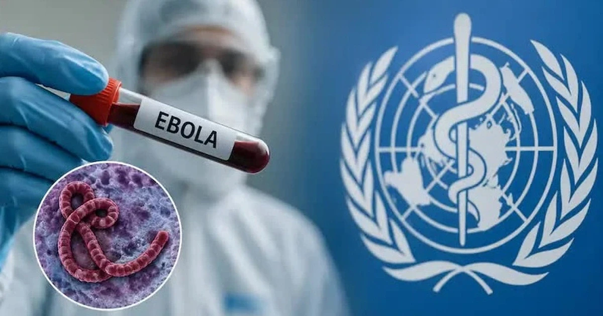 [VIDEO] Ebola gây thiệt mạng 204 người, WHO cảnh báo nguy cơ tại 10 nước châu Phi