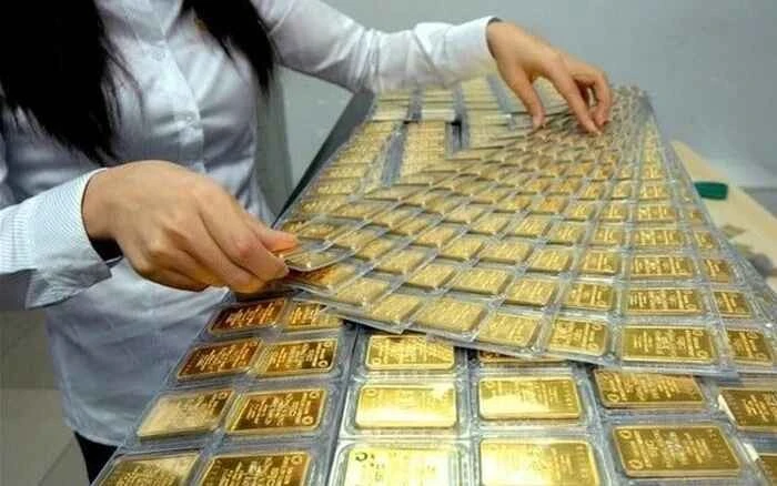 [VIDEO] Công ty thủy sản âm vốn 2.619 tỷ vì vay vàng năm 2009