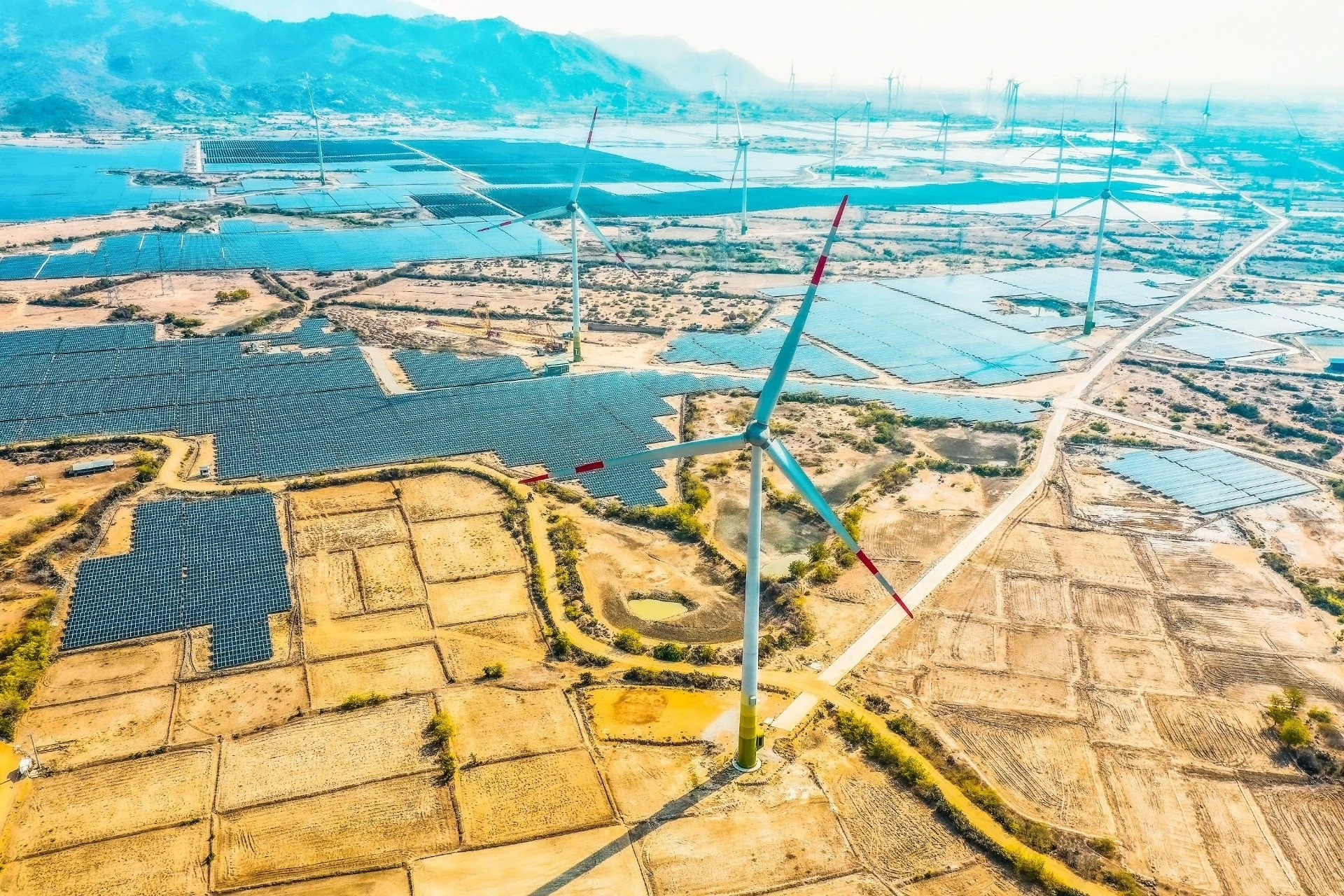 [SPOTLIGHT] Tập đoàn Xuân Thiện bị phạt 85 triệu vì "ém" thông tin trái phiếu