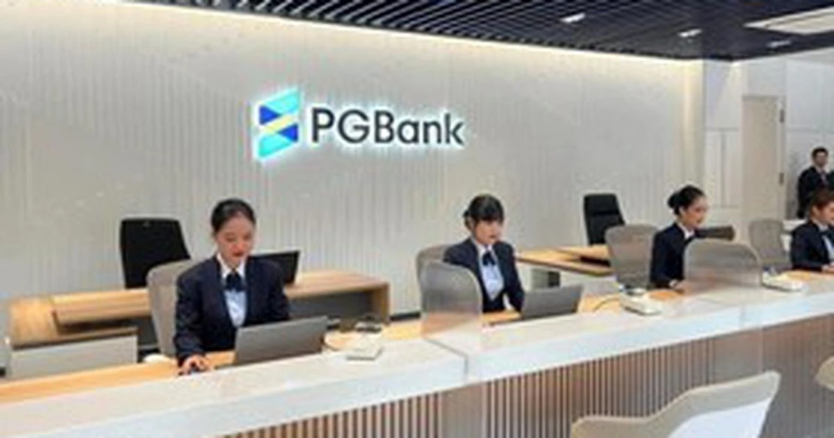 [SPOTLIGHT] PGBank Khánh Hòa bị phát hiện nhiều vi phạm tín dụng