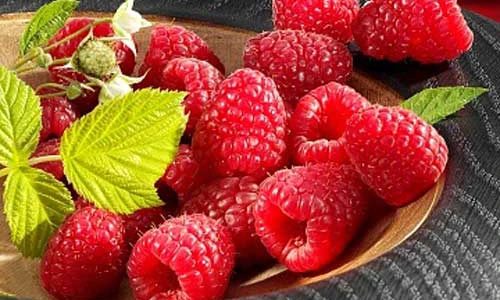 Mâm xôi đỏ Úc 2,5 triệu đồng/kg hút nhà giàu Việt