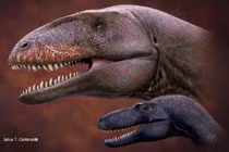 Loài khủng long nào từng thống trị trước thời T. rex?