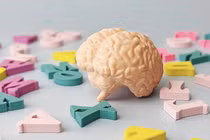 Nói nhiều ngôn ngữ giúp làm chậm quá trình lão hóa não bộ