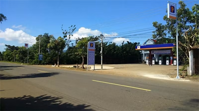 duonghoangsam-tpphumy-1.jpg