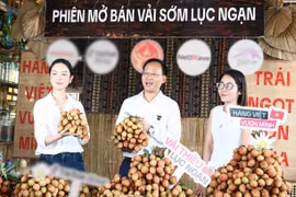 [VIDEO] Phó chủ tịch Bắc Ninh livestream bán hơn 31 tấn vải thiều thành công