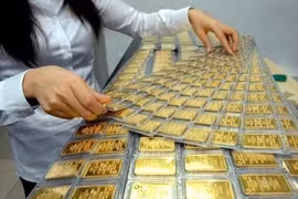 [VIDEO] Công ty thủy sản âm vốn 2.619 tỷ vì vay vàng năm 2009