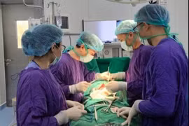 Bỏ lịch tái khám sau mở thông hồi tràng, người bệnh cấp cứu vì hoại tử ruột