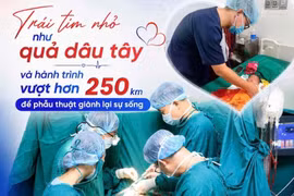 Trái tim nhỏ như quả dâu tây, vượt 250 km tìm cơ hội sống