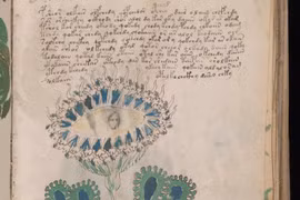 Bản thảo Voynich: Kiệt tác 600 năm tuổi hay cú lừa tinh vi nhất lịch sử?