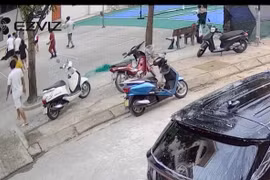 Trò chuyện cùng bác sĩ cứu người đàn ông ngừng tim trên sân bóng chuyền
