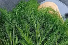 5 công dụng bất ngờ của thì là
