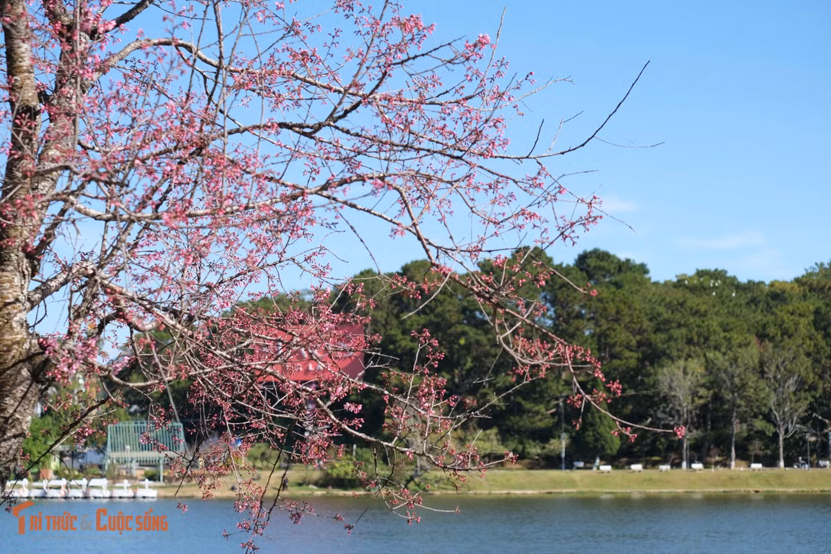 kto-bl_1-85.jpg