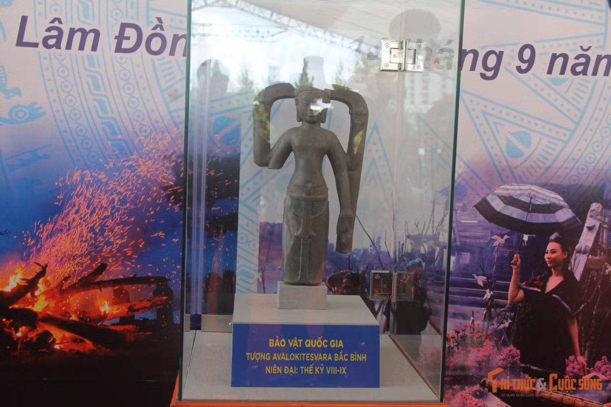 kto-br_di-san-8.jpg
