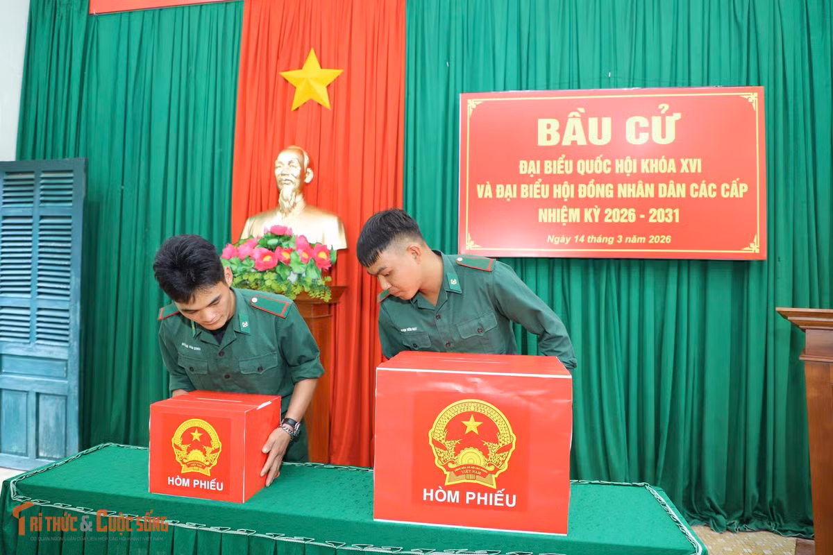 kto-bl_4.jpg