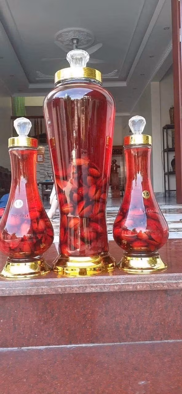 Quả máu có thể dùng để ăn tươi như món quà mặt, vị chua chua ngọt ngọt lạ miệng dùng ngâm rượu hoặc làm siro. Ảnh: Facebook