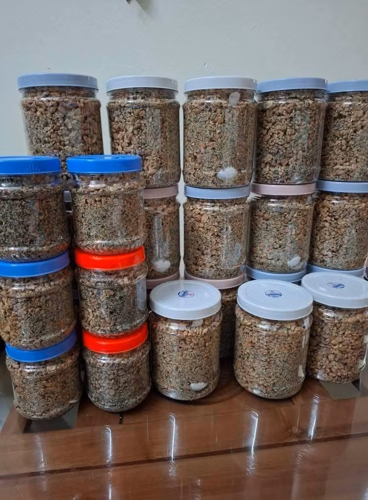 Thông thường, muối vừng được đóng thành từng hộp, giá khoảng 50.000 - 65.000 đồng/hộp, tùy loại. Ảnh: Facebook
