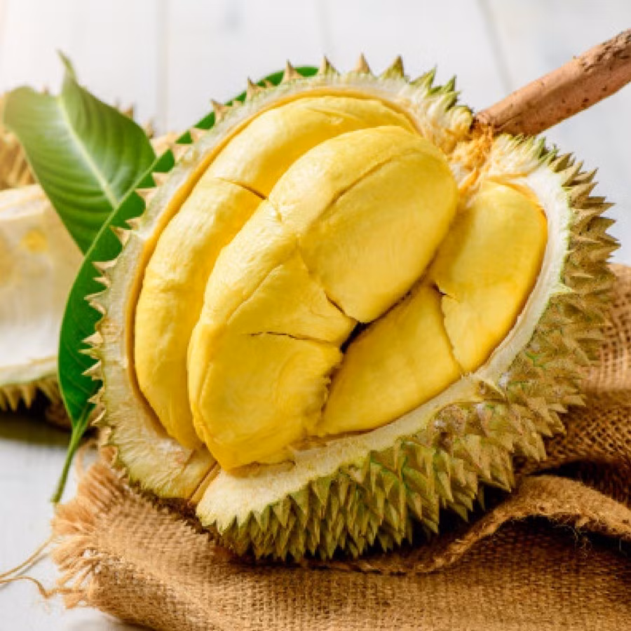 Sầu riêng được xem là "vua trái cây" nhờ hương thơm đặc trưng, vị "gây nghiện" và giá bán khá đắt đỏ. Ảnh: Doveco