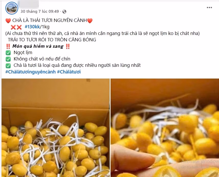 Nhưng gần đây, chà là tươi nguyên cành được bày bán la liệt tại các sạp hoa quả, trên xe hàng rong và trên chợ mạng với giá chỉ từ 69.000-180.000 đồng/kg khiến nhiều người bất ngờ. Ảnh chụp màn hình