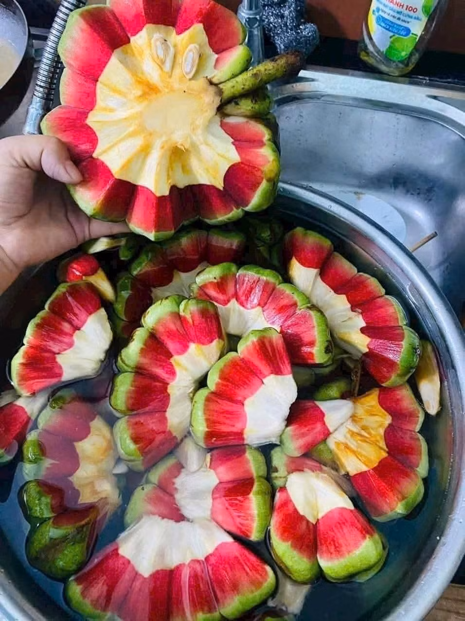 Không chỉ dùng làm thực phẩm, na rừng còn được sử dụng làm thuốc, giảm đau, kích thích tiêu hóa. Ảnh: Facebook