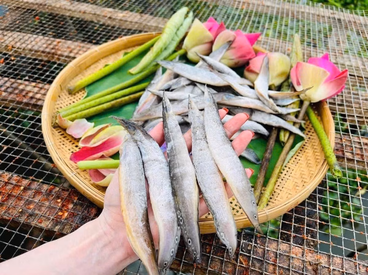 Để làm khô, người ta chọn cá chạch tươi, cạo sạch nhớt rồi ngâm muối loãng, sau đó ướp chút gia vị, ớt và phơi nắng. Ảnh: Facebook