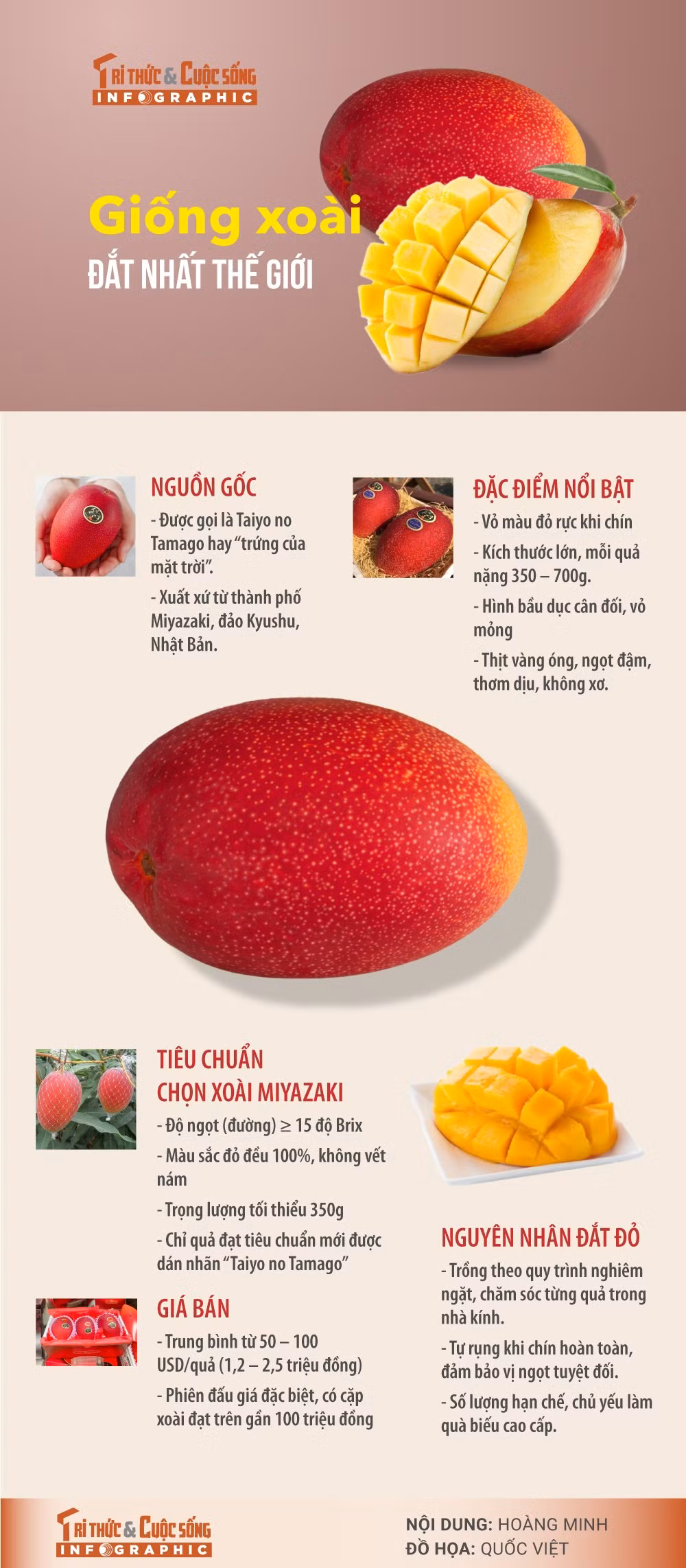 giong-xoai-dat-nhat-the-gioi.jpg