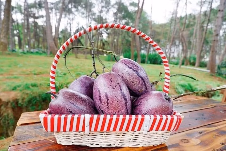 Vì vậy, nhiều người mua về ngoài mục đích ăn tráng miệng thì còn để hỗ trợ tăng cường sức khoẻ. Ảnh: Facebook