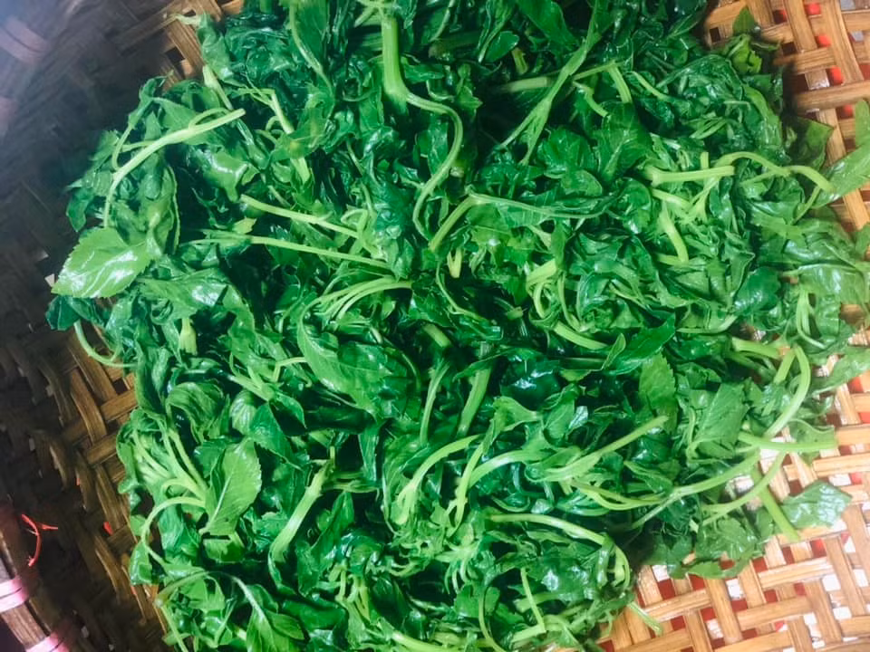 Phần lá và đọt non của xuyến chi có thể chế biến thành nhiều món ăn hấp dẫn như xào tỏi, nấu canh, luộc, nhúng lẩu hoặc làm gỏi. Ảnh: Facebook