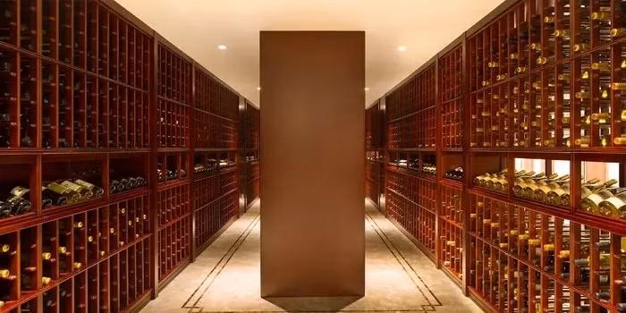 Bên trong có hầm rượu lớn. Ảnh: Sotheby's International Realty