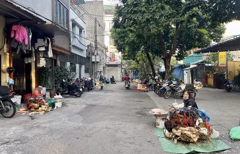 Sáng 8/1, người mua kẻ bán vẫn tấp nập tại chợ cóc ngõ 481/1 Ngọc Lâm (phường Bồ Đề). Người bán chủ yếu ở ngoại thành, mang rau cỏ, thịt lợn đến bán vào buổi sáng. Ảnh: Cand