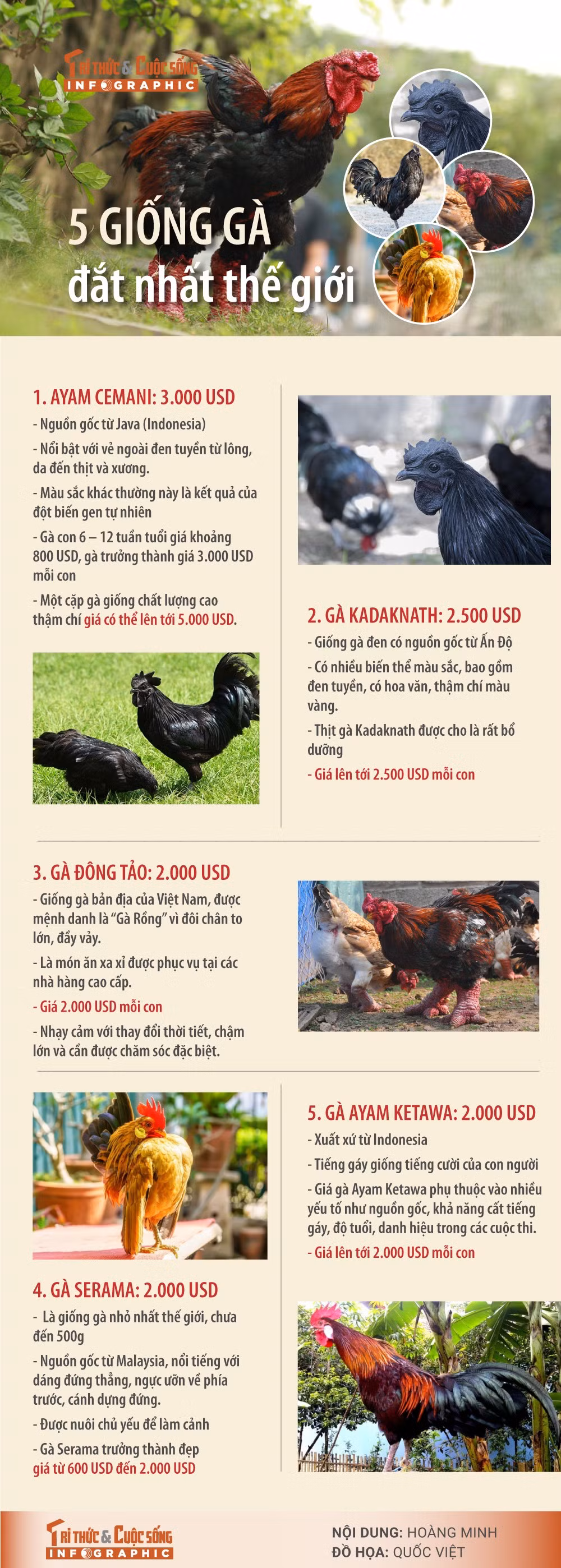 5-giong-ga-dat-nhat-the-gioi.jpg