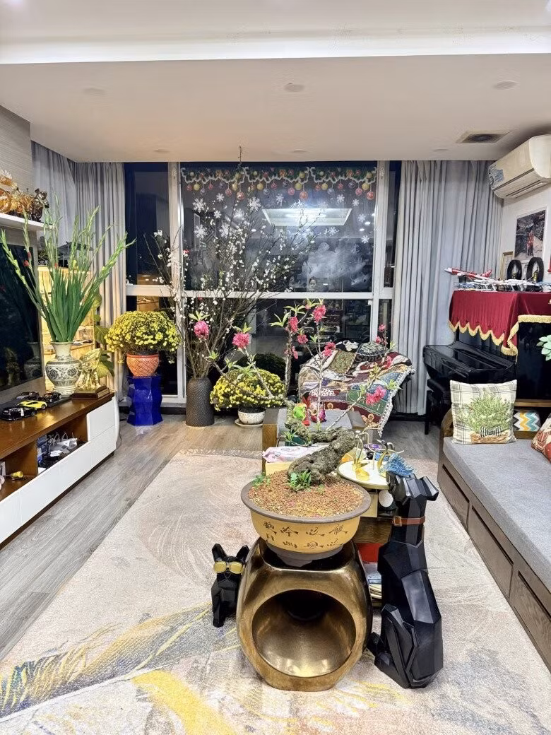Năm nay, không gian sống của BTV Hoàng Trang đặc biệt hơn khi lần đầu tiên xuất hiện bóng dáng của cây đào thất thốn đỏ nhung. Ảnh: FB Trang Hoàng