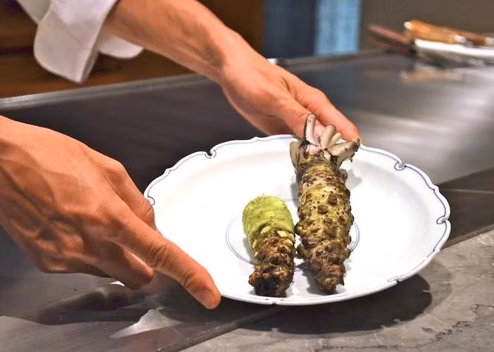 Ngoài Nhật Bản, Wasabi mới được trồng thành công ở các một số vùng ở British Columbia (Canada), bang Oregon (Mỹ), Trung Quốc, New Zealand và Việt Nam. Ảnh: Byfood