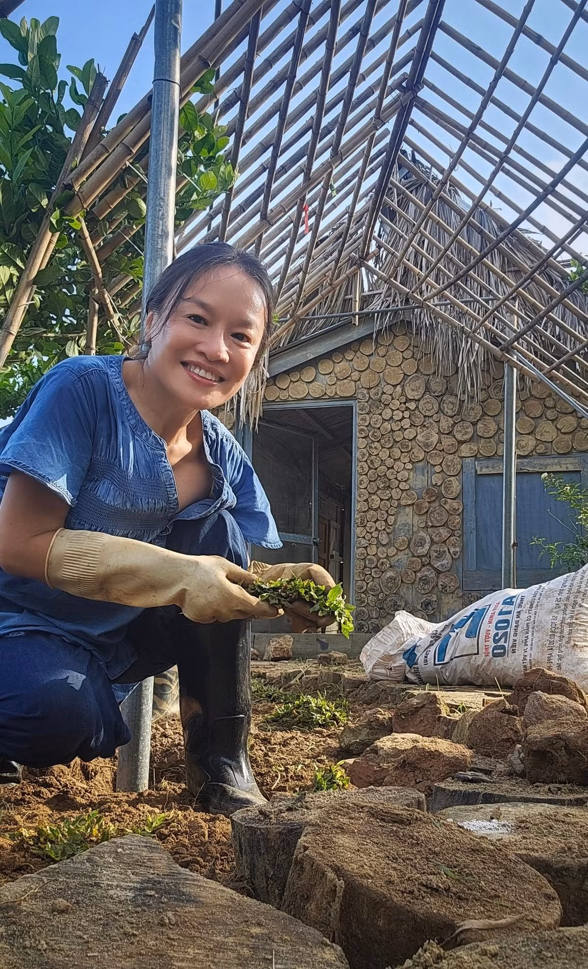 Cỏ gừng được nữ nghệ sĩ trồng thưa, để dành thời gian cho cỏ lan đều khắp nền đất. Ảnh: FB Oanh Le Tu