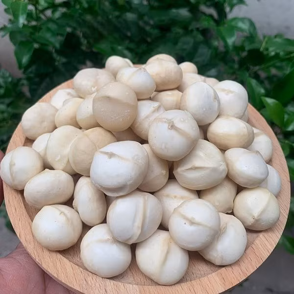 Nhân mắc ca trồng tại Việt Nam có độ giòn, béo và dậy mùi hơn. Hiện mắc ca vỏ Việt Nam dao động từ 250.000 – 350.000 đồng/kg. Ảnh: Saigon Times